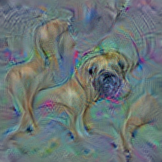n02108089